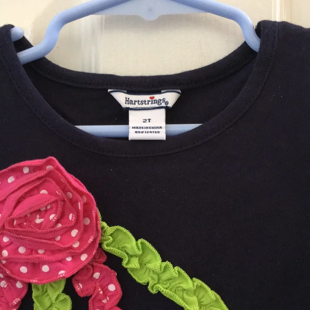 FINAL MARKDOWN Girls NWT Hartstrings Ruffled Tunic (2T) - Picture 3 of 10